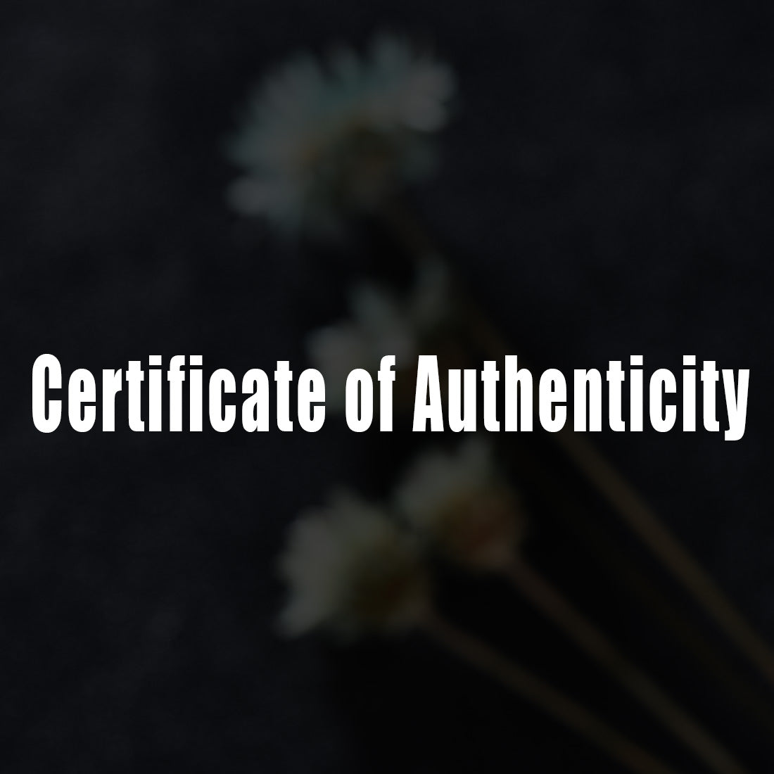 Certificate of Authenticity