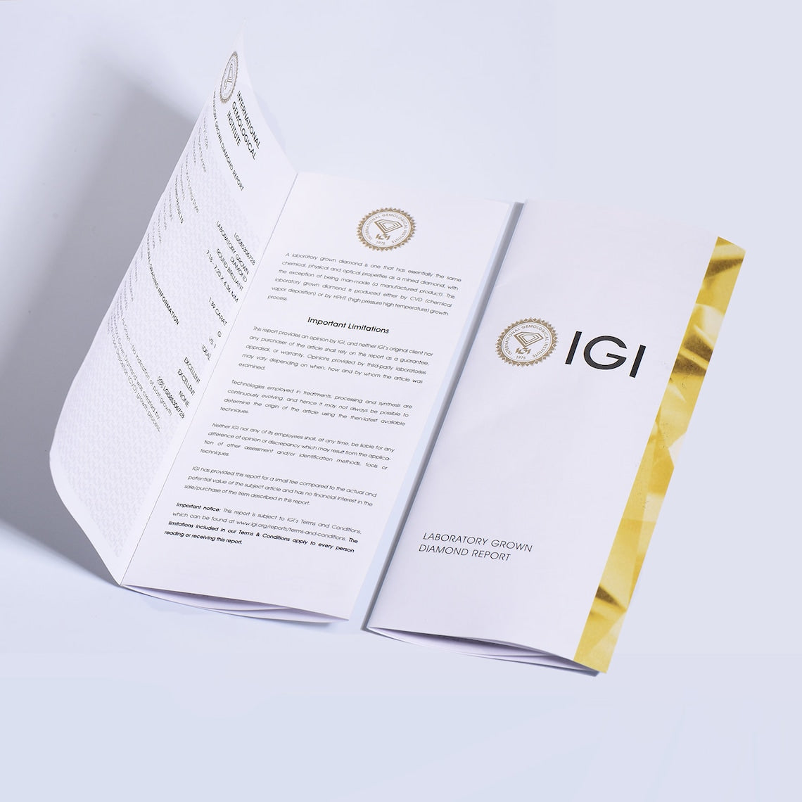 1ct Round Halo Diamond Earrings IGI Certificate Lab Grown Diamond Stud Earrings Solid Gold Cluster Earrings April Birthstone Wedding Gifts