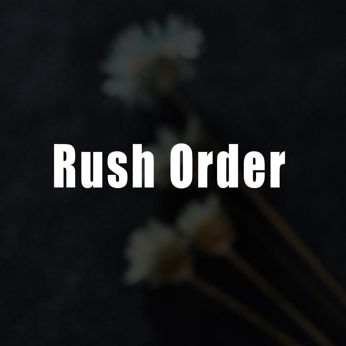 Rush Order